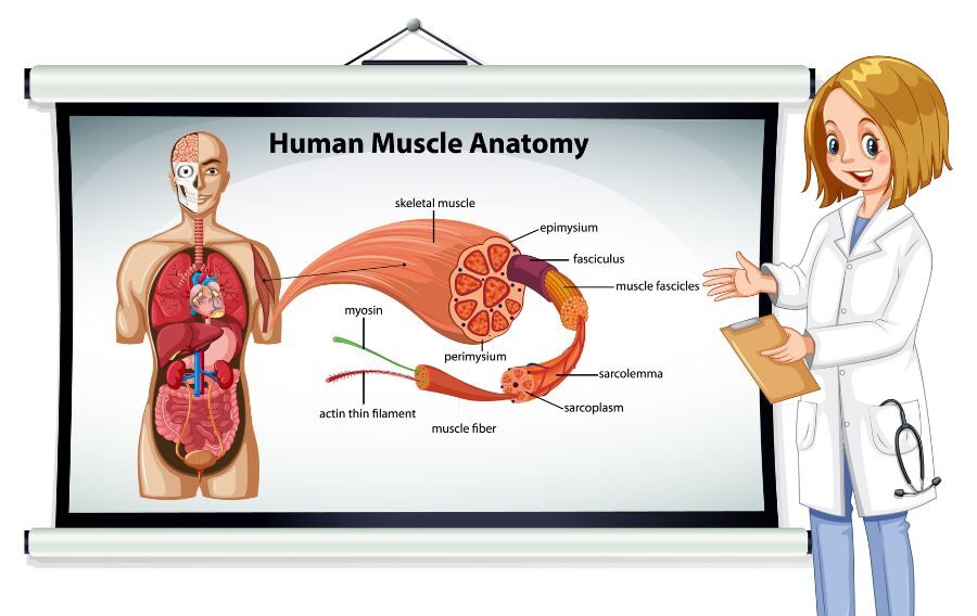 Core Topics to Focus on in IGCSE Biology Notes