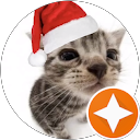 Vfinestone .-. profile picture